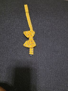 Polo by Ralph Lauren Yellow Paisley Print Bow Tie